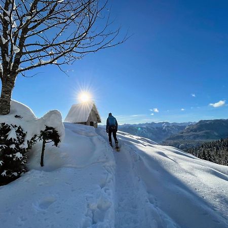 Chalet Hike&Bike Above Bohinj Valley Luaran gambar
