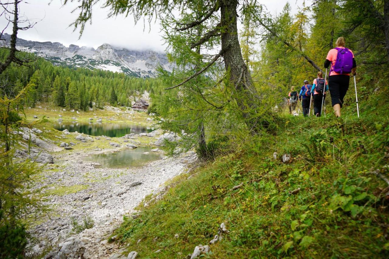 Chalet Hike&Bike Above Bohinj Valley Luaran gambar
