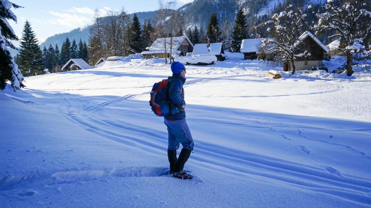 Chalet Hike&Bike Above Bohinj Valley Luaran gambar