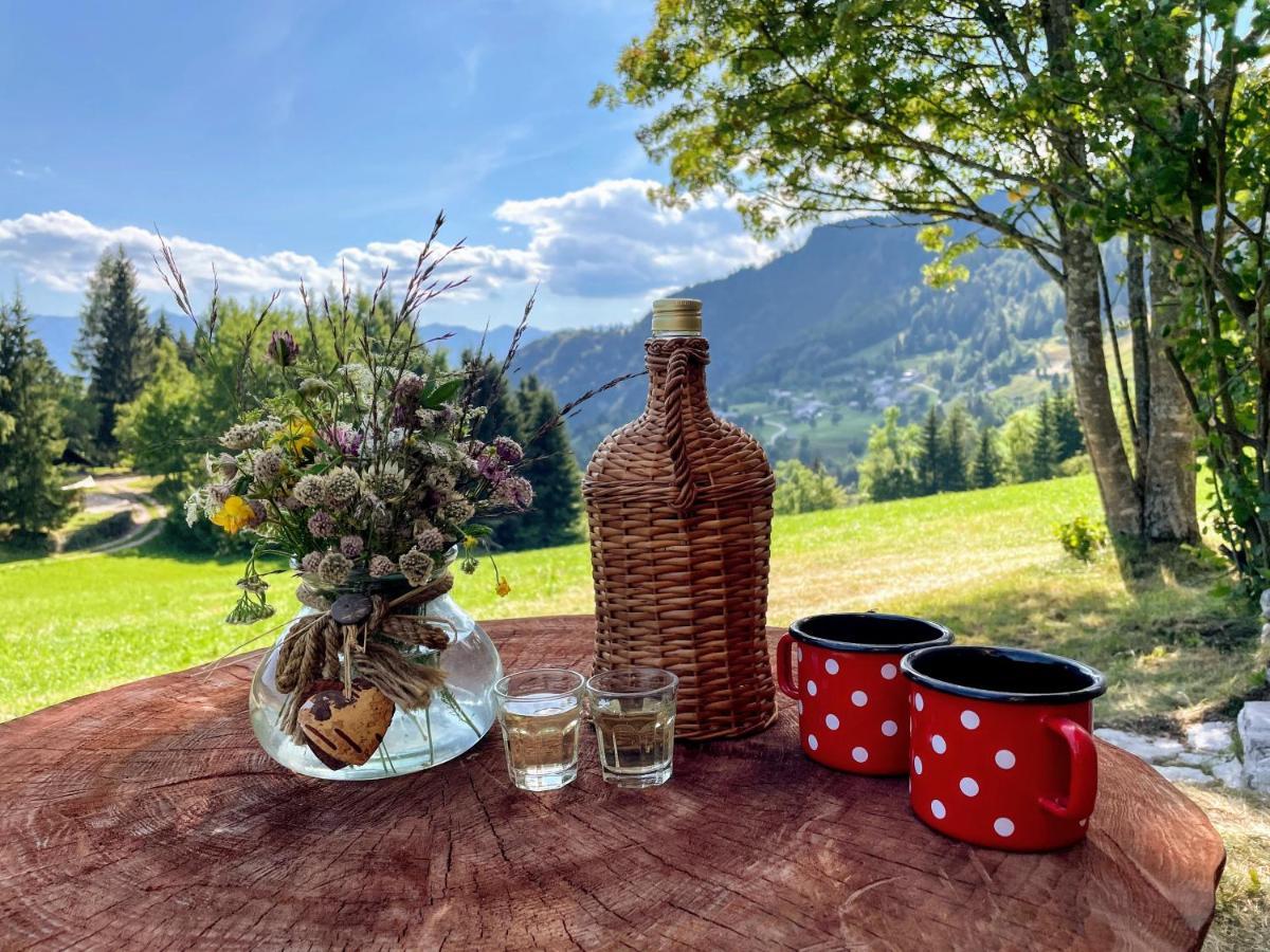 Chalet Hike&Bike Above Bohinj Valley Luaran gambar