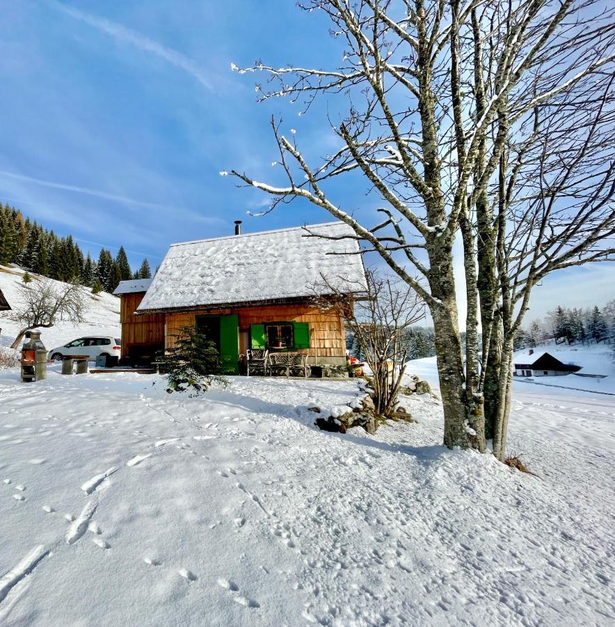 Chalet Hike&Bike Above Bohinj Valley Luaran gambar