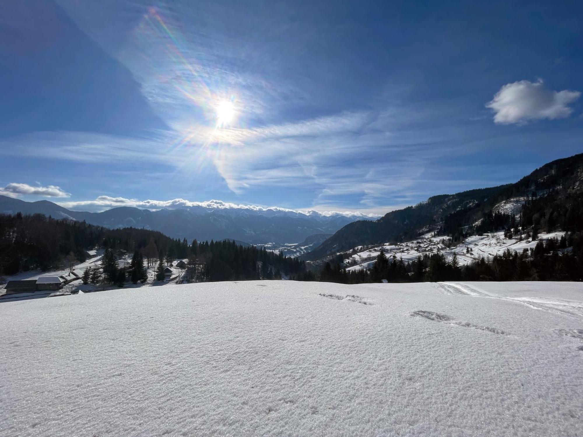 Chalet Hike&Bike Above Bohinj Valley Luaran gambar